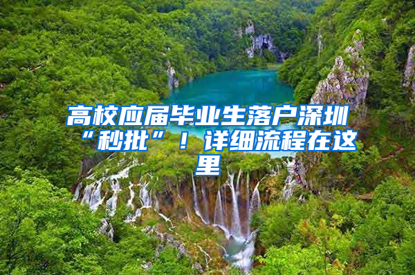 高校應屆畢業(yè)生落戶深圳“秒批”！詳細流程在這里