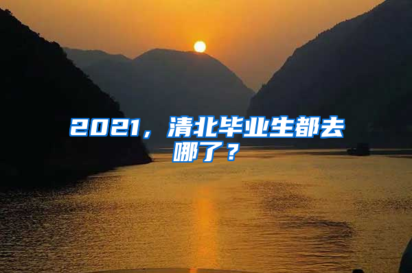 2021，清北畢業(yè)生都去哪了？