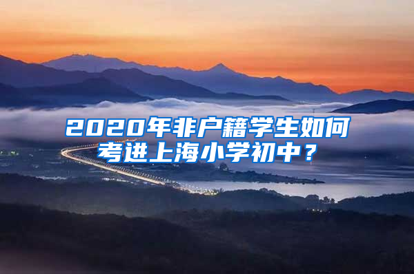 2020年非戶籍學生如何考進上海小學初中？