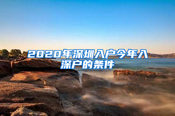 2020年深圳入戶今年入深戶的條件