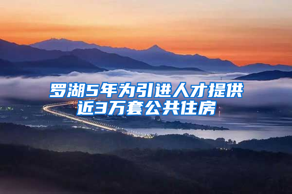 羅湖5年為引進(jìn)人才提供近3萬(wàn)套公共住房