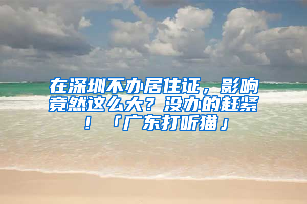 在深圳不辦居住證，影響竟然這么大？沒辦的趕緊！「廣東打聽貓」