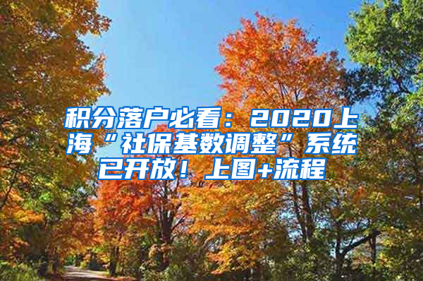 積分落戶必看：2020上?！吧绫；鶖?shù)調(diào)整”系統(tǒng)已開放！上圖+流程