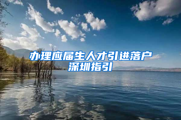 辦理應屆生人才引進落戶深圳指引