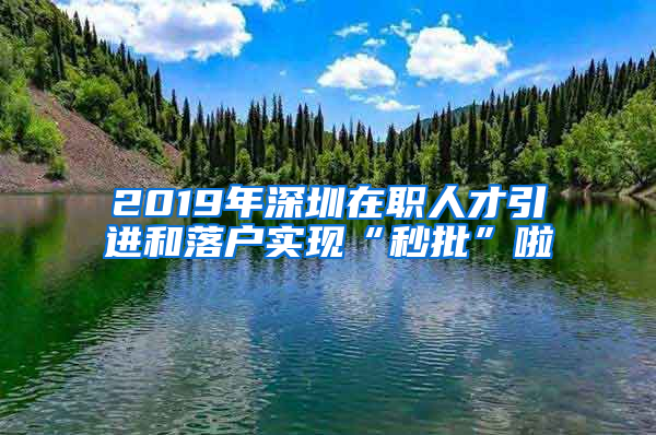 2019年深圳在職人才引進和落戶實現(xiàn)“秒批”啦