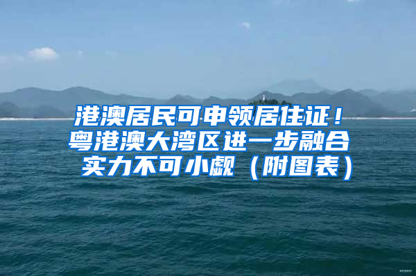 港澳居民可申領(lǐng)居住證！粵港澳大灣區(qū)進(jìn)一步融合 實(shí)力不可小覷（附圖表）