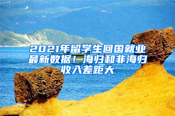 2021年留學(xué)生回國(guó)就業(yè)最新數(shù)據(jù)！海歸和非海歸收入差距大