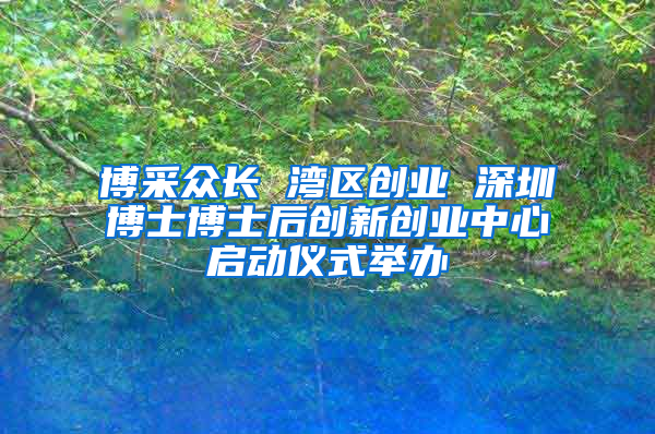 博采眾長(zhǎng) 灣區(qū)創(chuàng)業(yè) 深圳博士博士后創(chuàng)新創(chuàng)業(yè)中心啟動(dòng)儀式舉辦