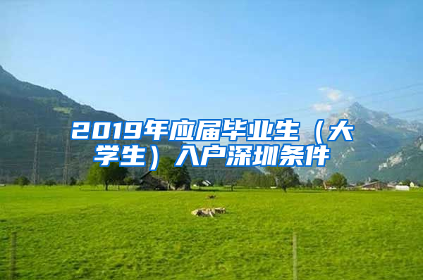 2019年應屆畢業(yè)生（大學生）入戶深圳條件