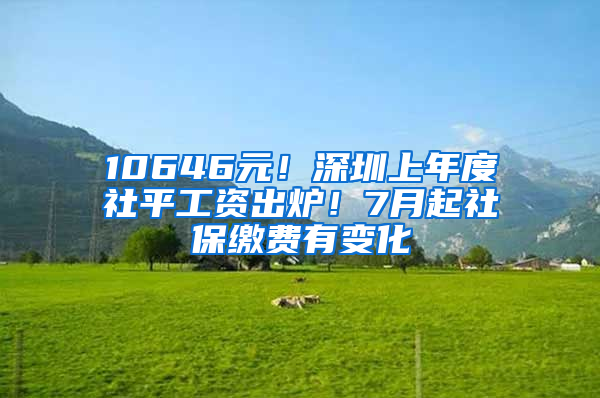 10646元！深圳上年度社平工資出爐！7月起社保繳費有變化