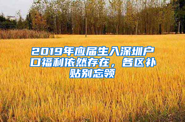 2019年應(yīng)屆生入深圳戶(hù)口福利依然存在，各區(qū)補(bǔ)貼別忘領(lǐng)