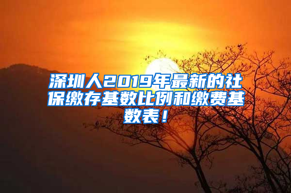 深圳人2019年最新的社保繳存基數(shù)比例和繳費(fèi)基數(shù)表！