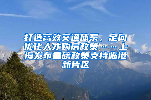 打造高效交通體系，定向優(yōu)化人才購房政策……上海發(fā)布重磅政策支持臨港新片區(qū)