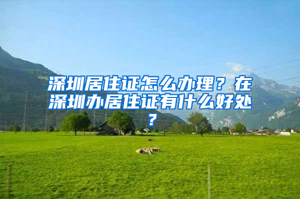 深圳居住證怎么辦理？在深圳辦居住證有什么好處？