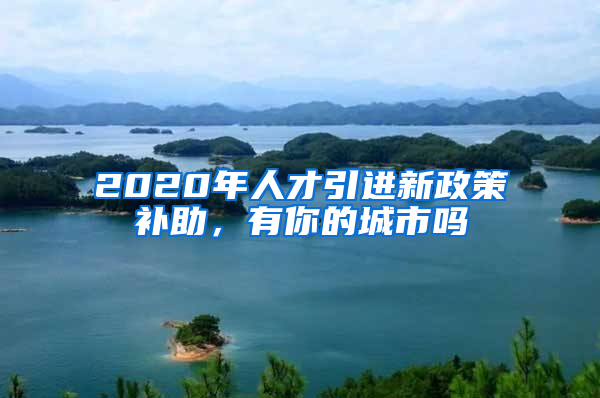 2020年人才引進(jìn)新政策補(bǔ)助，有你的城市嗎