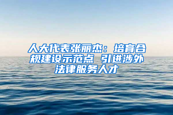 人大代表張麗杰：培育合規(guī)建設(shè)示范點 引進涉外法律服務人才