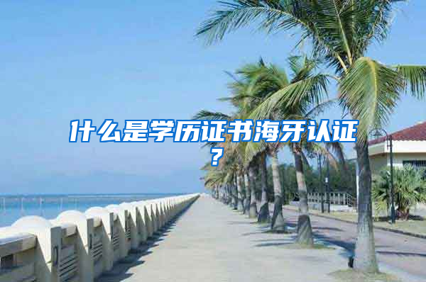 什么是學歷證書海牙認證？