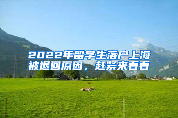 2022年留學生落戶上海被退回原因，趕緊來看看