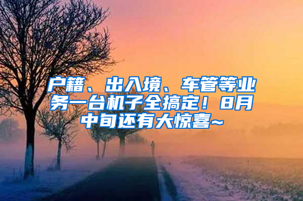 戶籍、出入境、車管等業(yè)務(wù)一臺(tái)機(jī)子全搞定！8月中旬還有大驚喜~