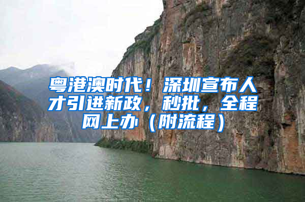 粵港澳時(shí)代！深圳宣布人才引進(jìn)新政，秒批，全程網(wǎng)上辦（附流程）