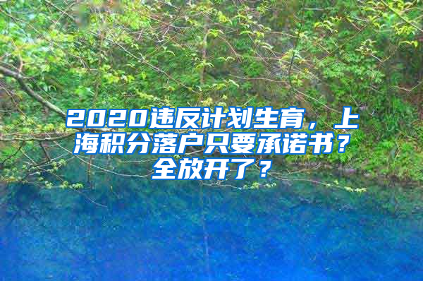 2020違反計劃生育，上海積分落戶只要承諾書？全放開了？