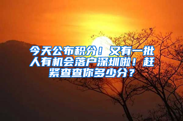 今天公布積分！又有一批人有機(jī)會落戶深圳啦！趕緊查查你多少分？