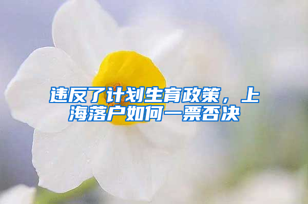 違反了計劃生育政策，上海落戶如何一票否決