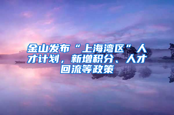 金山發(fā)布“上海灣區(qū)”人才計(jì)劃，新增積分、人才回流等政策