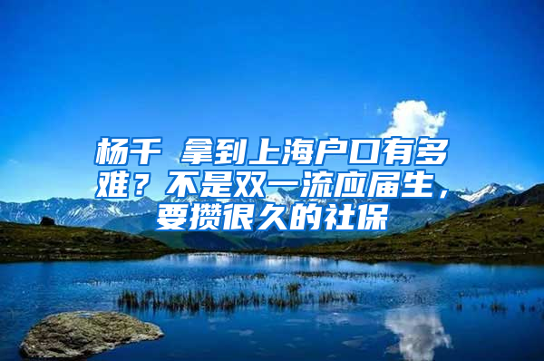 楊千嬅拿到上海戶口有多難？不是雙一流應(yīng)屆生，要攢很久的社保