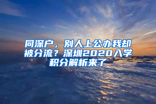 同深戶，別人上公辦我卻被分流？深圳2020入學(xué)積分解析來了