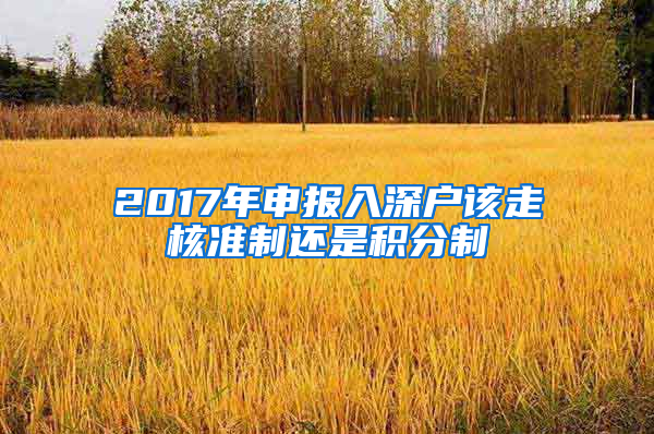 2017年申報入深戶該走核準制還是積分制