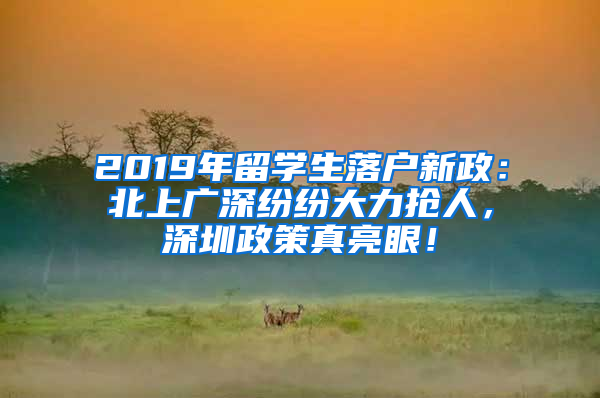 2019年留學(xué)生落戶新政：北上廣深紛紛大力搶人，深圳政策真亮眼！