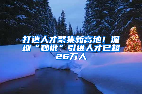 打造人才聚集新高地！深圳“秒批”引進(jìn)人才已超26萬人