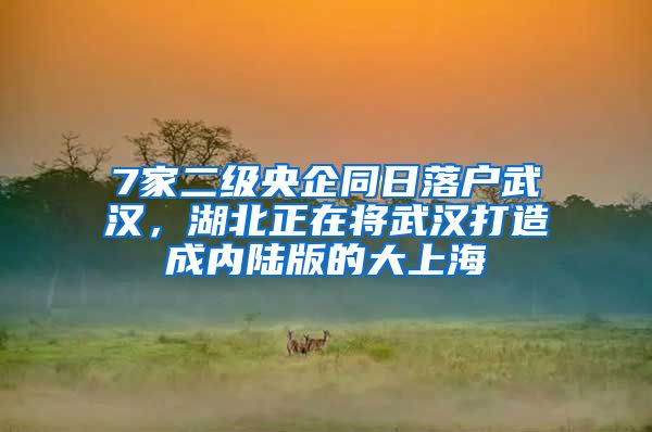 7家二級央企同日落戶武漢，湖北正在將武漢打造成內(nèi)陸版的大上海