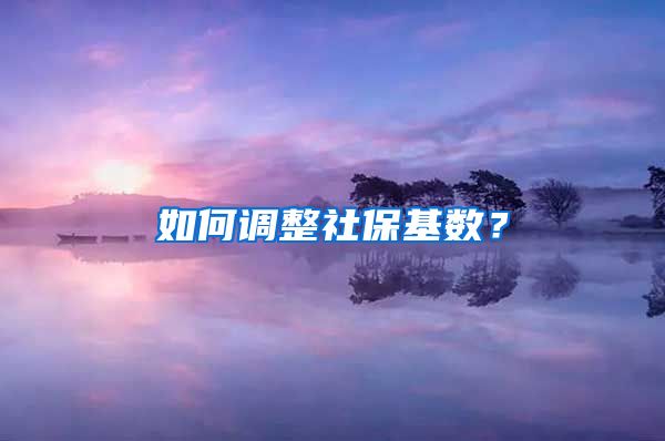 如何調(diào)整社?；鶖?shù)？