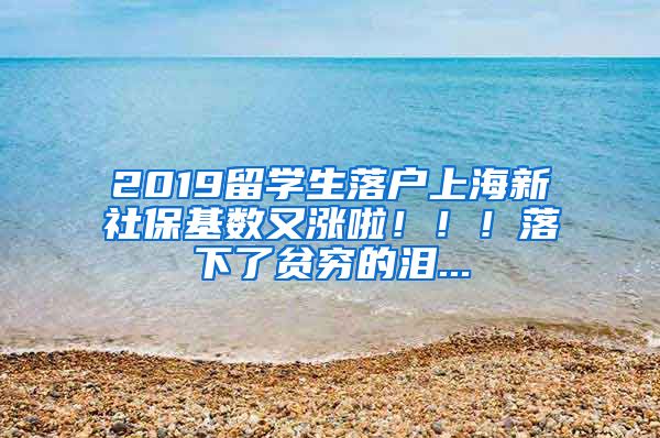 2019留學(xué)生落戶上海新社?；鶖?shù)又漲啦?。?！落下了貧窮的淚...