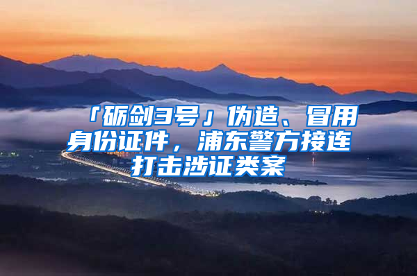 「礪劍3號(hào)」偽造、冒用身份證件，浦東警方接連打擊涉證類(lèi)案