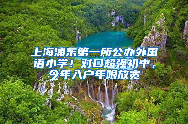 上海浦東第一所公辦外國語小學(xué)！對口超強初中，今年入戶年限放寬