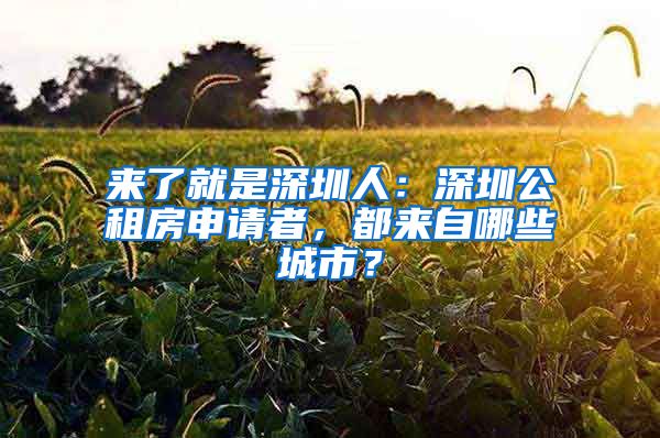 來了就是深圳人：深圳公租房申請(qǐng)者，都來自哪些城市？