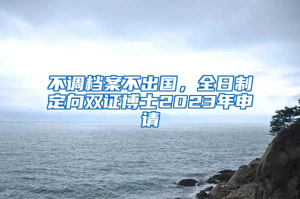 不調(diào)檔案不出國，全日制定向雙證博士2023年申請