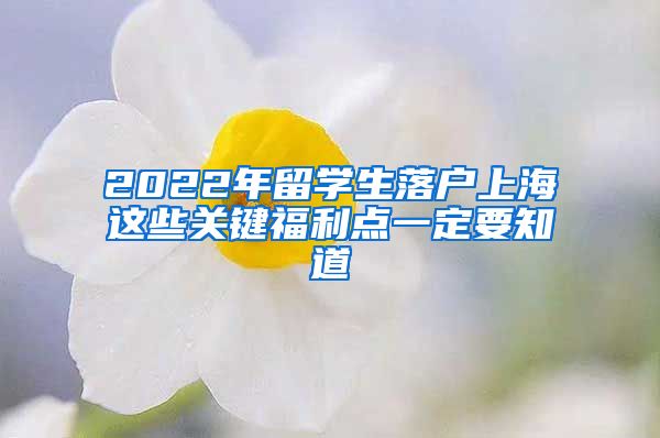 2022年留學(xué)生落戶上海這些關(guān)鍵福利點一定要知道