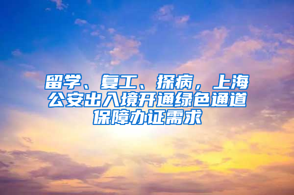 留學(xué)、復(fù)工、探病，上海公安出入境開通綠色通道保障辦證需求