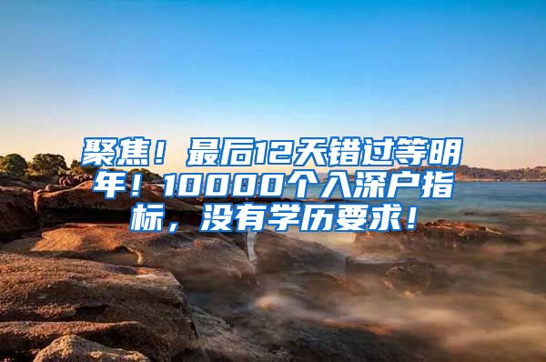 聚焦！最后12天錯(cuò)過等明年！10000個(gè)入深戶指標(biāo)，沒有學(xué)歷要求！