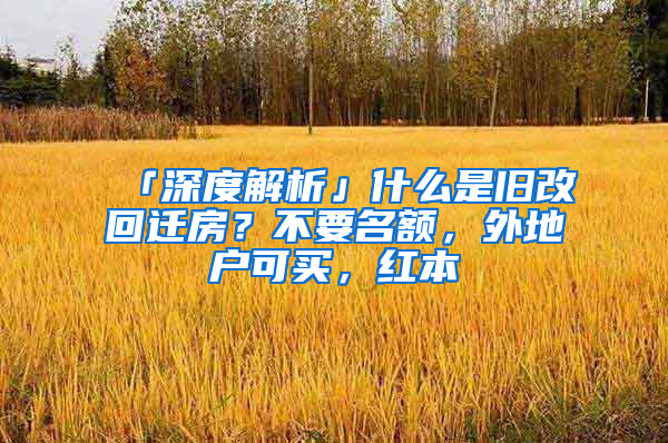 「深度解析」什么是舊改回遷房？不要名額，外地戶可買，紅本