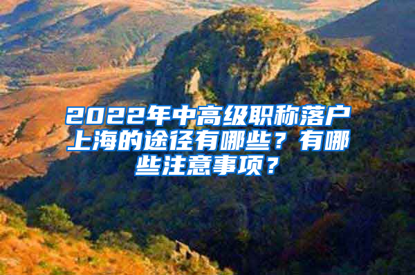 2022年中高級(jí)職稱落戶上海的途徑有哪些？有哪些注意事項(xiàng)？