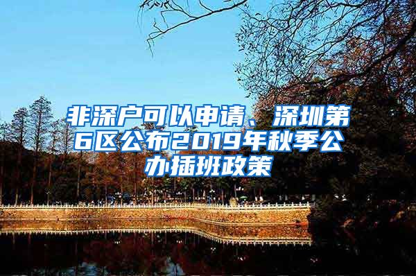 非深戶可以申請、深圳第6區(qū)公布2019年秋季公辦插班政策