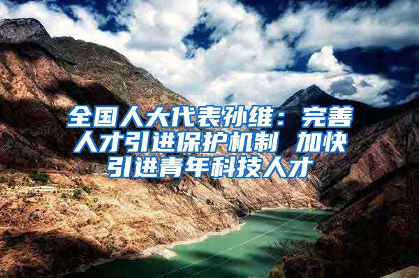 全國人大代表孫維：完善人才引進保護機制 加快引進青年科技人才