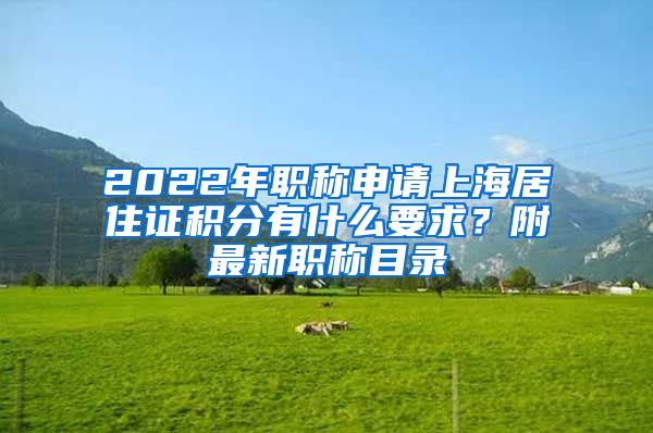 2022年職稱(chēng)申請(qǐng)上海居住證積分有什么要求？附最新職稱(chēng)目錄