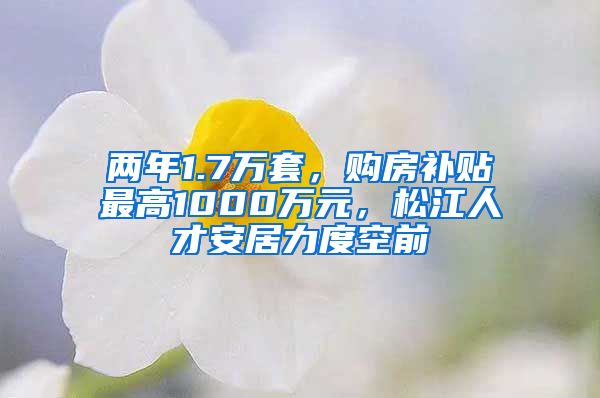 兩年1.7萬套，購房補貼最高1000萬元，松江人才安居力度空前