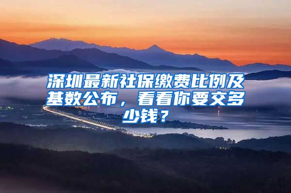 深圳最新社保繳費(fèi)比例及基數(shù)公布，看看你要交多少錢？